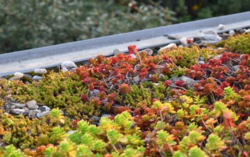 the cost of Pendock green roof installation