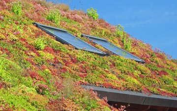 Pendock living roof systems